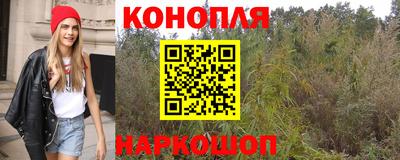 крисы Гусиноозёрск