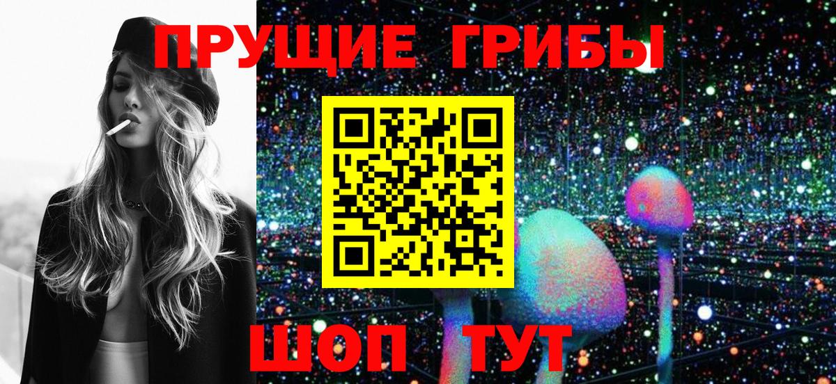 Галлюциногенные грибы Cubensis Миллерово