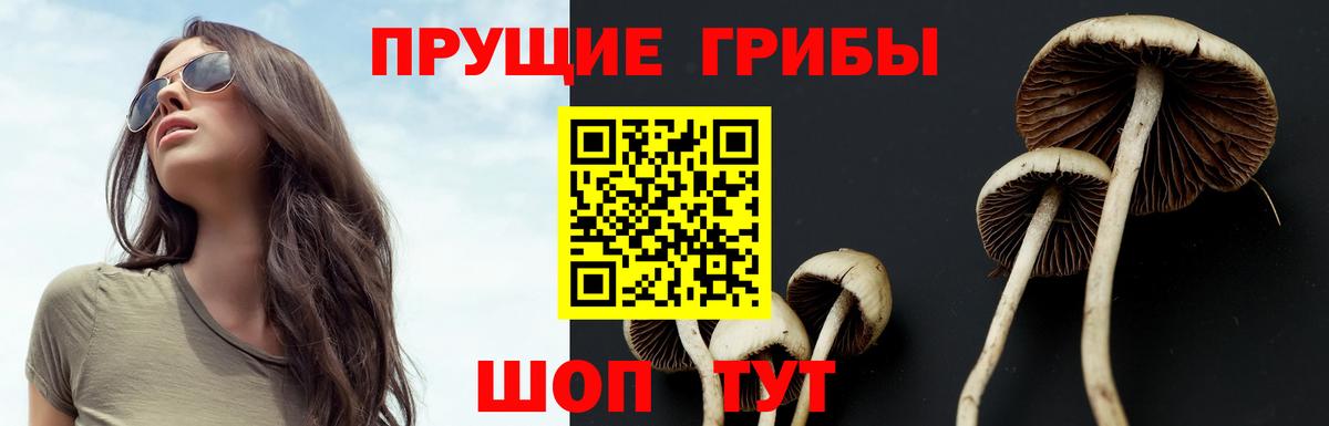 Галлюциногенные грибы Cubensis  Галлюциногенные грибы Psilocybe  Вход с VPN  Миллерово 